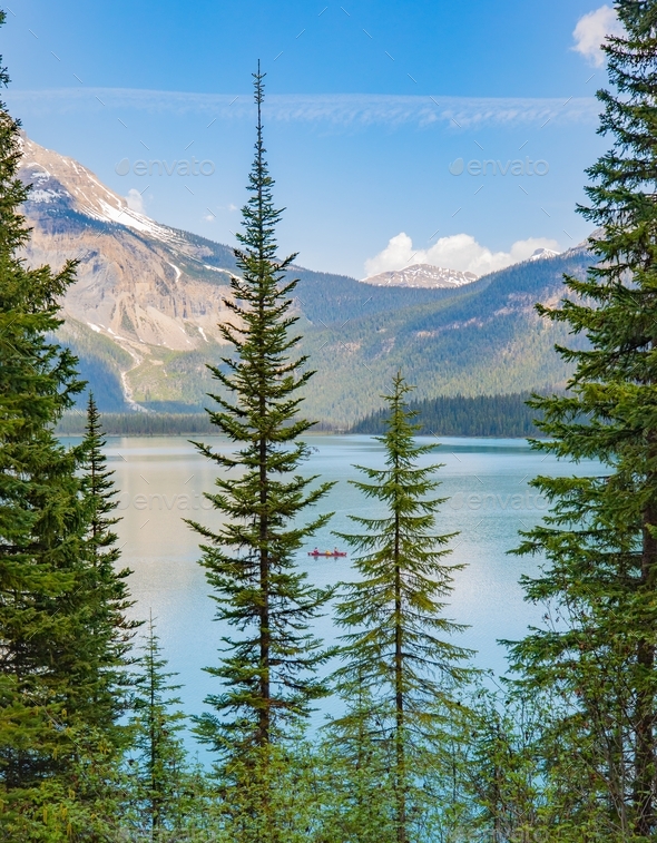 A red canoe on a lake sitting between two tall trees with mountains in distance  - Stock Photo - Images
