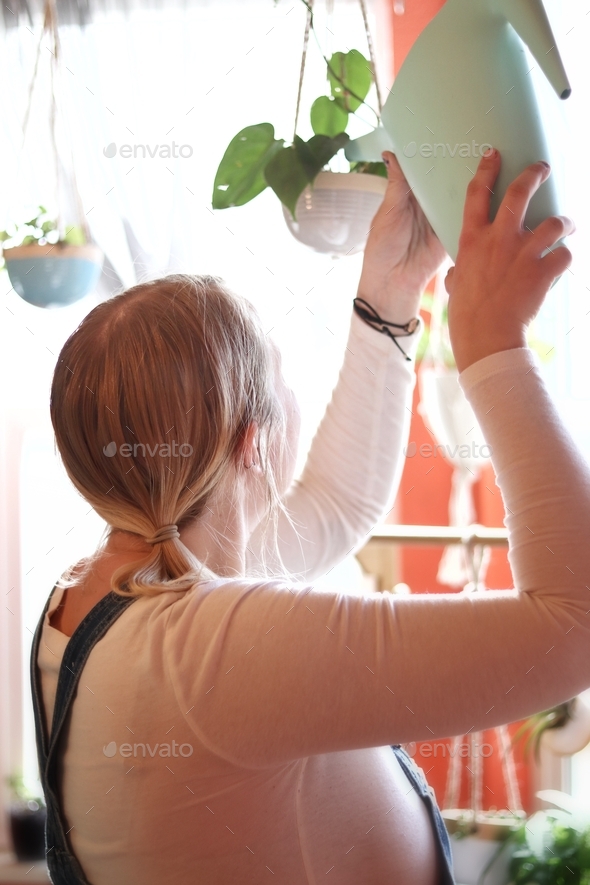 Watering House Plants - Stock Photo - Images