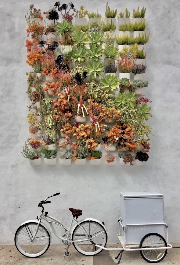 Awesome urban scene. North Park. San Diego California neighborhood