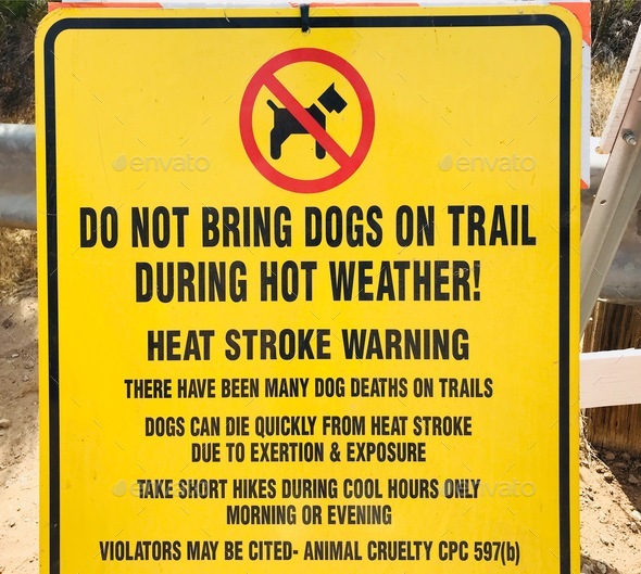 Warning for all dog owners who might be hiking or walking the trails during the Summertime heat