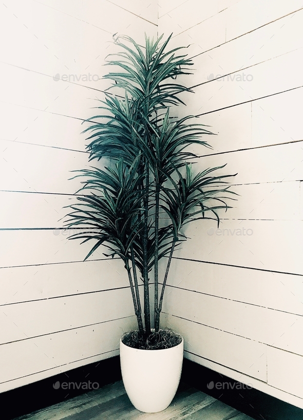 A modern, fake, plastic tree planted in a cool indoor pot, in the corner of a room