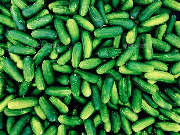 38,095 Cucumbers Wallpaper Royalty-Free Photos and Stock Images |  Shutterstock