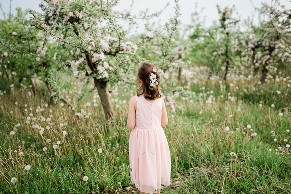 Spring time inspiration photo - Stock Photo - Images