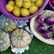 Fruits and veggies - PhotoDune Item for Sale