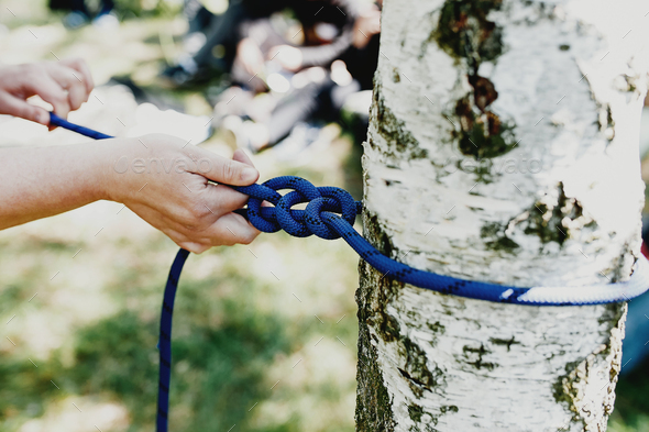 Women hands pull a strong blue rope tied to a birch tree. Zip line installation