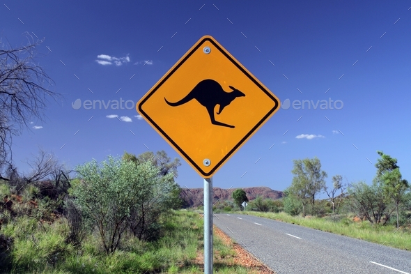 Kangaroo Crossing - Stock Photo - Images