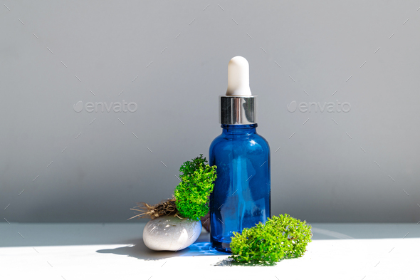 Sea moss personal care. Blue bottle with oil dropper and sea stones and moss on white background