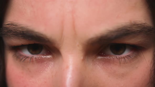 Close Up of Woman Eyes Girl Opening Her Beautiful Brown Eyes alt