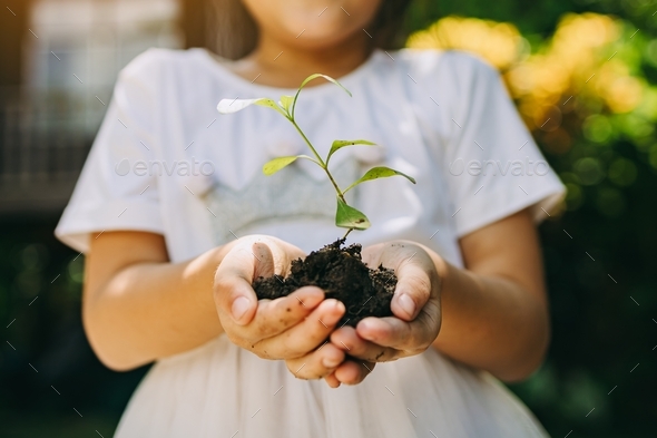 Children planting a tree for save the earth. Concept for eco gardening and sustainable living