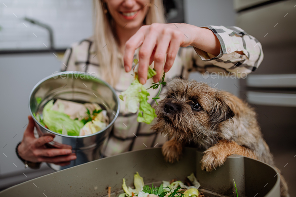 Woman throwing vegetable cuttings in a compost bucket in kitchen and feeding dog.