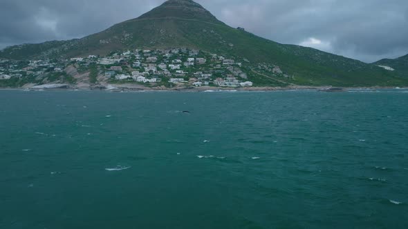 Fly Above Water Surface Along Sea Coast alt