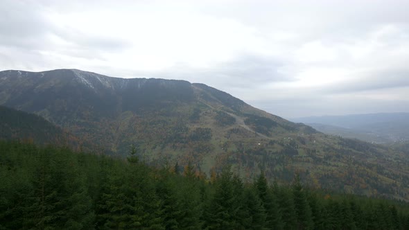 Mountains and forest alt