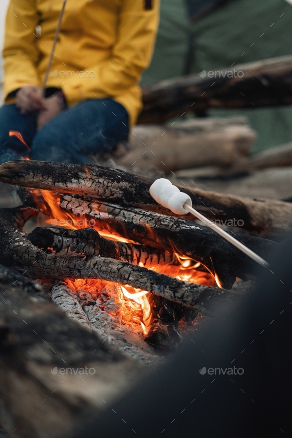 cooking marshmallow on a bonfire at the evening Stock Photo by vorobeyphoto