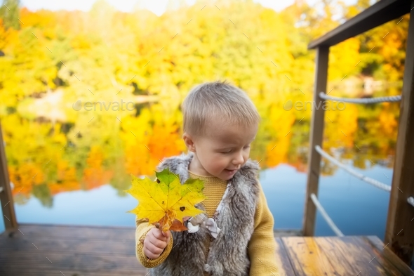 Cute European bald toddler baby in park in fall. Child with large ...