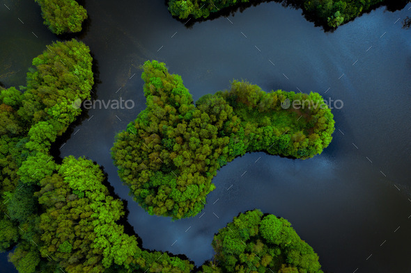 Aerial view of a tropical paradise island surrounded by water in a jungle and exotic environment