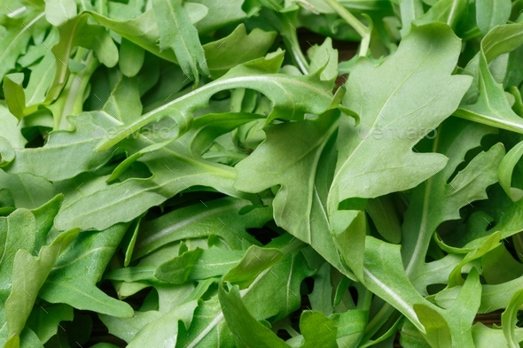 Green leafy vegetable healthy vitamin salad Eruca vesicaria arugula cabbage family close-up, food