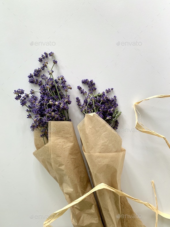 Wrapped lavender bouquets flat lay of purple flowers for home arrangements either fresh or dried