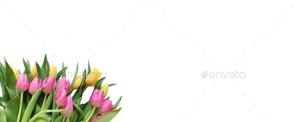 Yellow & pink tulips web banner mock-up with negative space for text overlay & for website