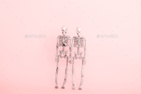 cute couple of skeletons a pink background