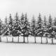 snowy pine trees in a line - PhotoDune Item for Sale