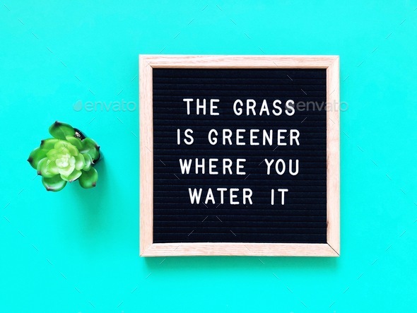 The grass is greener where you water it
