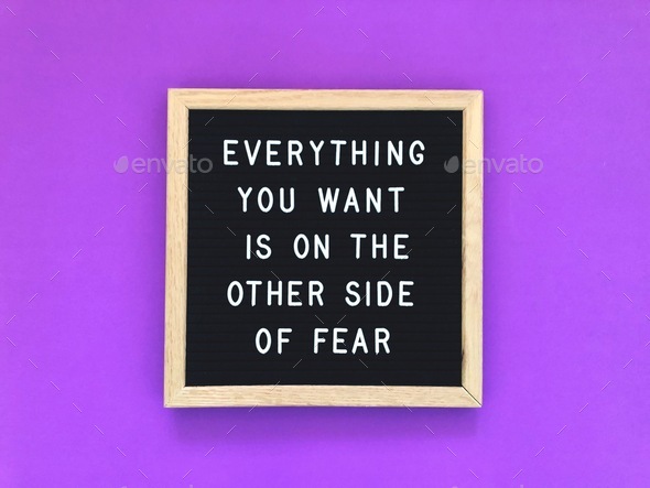 Everything you want is on the other side of fear