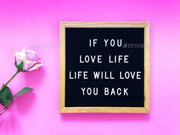 If you love life, life will love you back