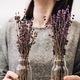 A young girl holding the dried lavender sticks - PhotoDune Item for Sale