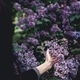 Floral feelings #1 - PhotoDune Item for Sale