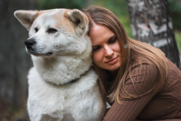 Japanese dog Akita inu portrait with young woman outdoors Stock Photo