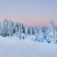 Winter - PhotoDune Item for Sale