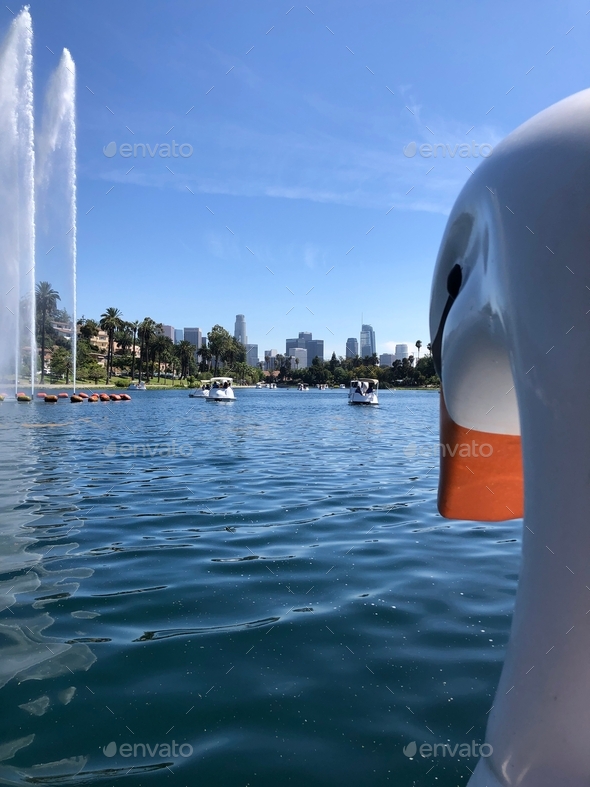 the echo park duck paddle boats looking out on los angeles Stock Photo
