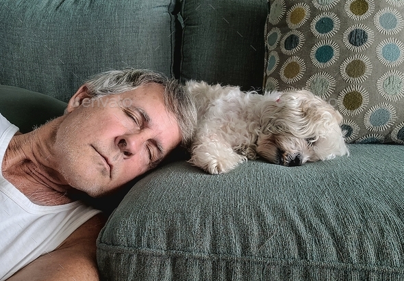 Best to let sleeping dogs lie and then join them in a pet selfie on selfie day.