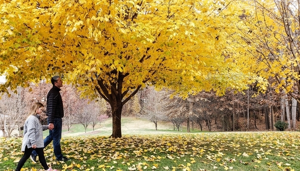 People in fall together in natures beauty of yellow.