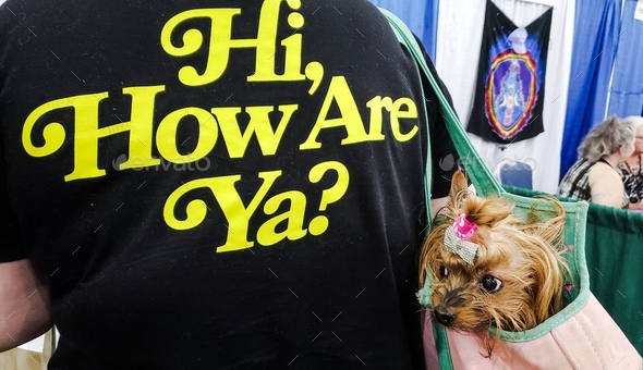 Reluctant dog a yorkie is trying to live up to the wild words printed on her owners jacket but shes