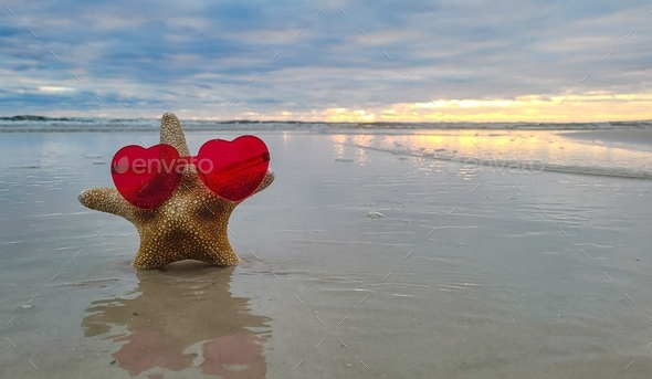 Cool starfish in shades on Valentines day shoot in the ocean surf on cloudy day at the beach.