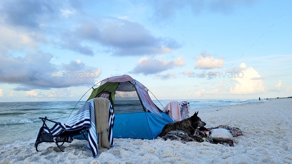 Homeless Military veteran camping on beachwith her senior dog watching sunrise on minimalist landsc