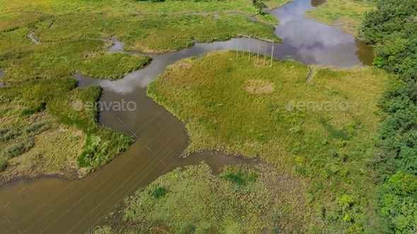 Aerial view river and forest of bushes, grass, garden path, pond, aerial view