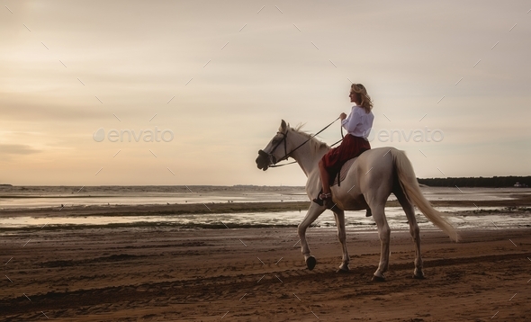 Cute young woman on white horse takes horse ride on sea beach at sunset