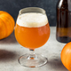 Cold Refreshing Oktoberfest Pumpkin Beer - PhotoDune Item for Sale