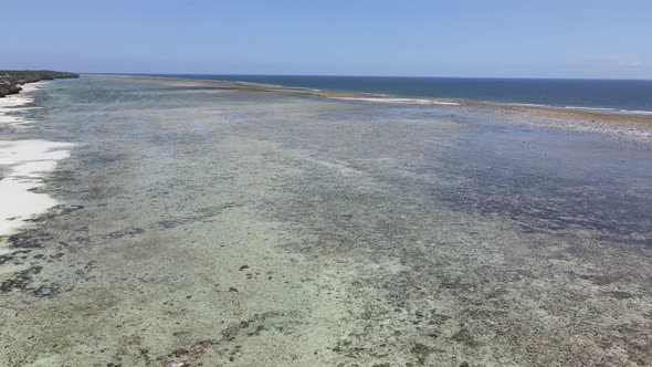 Shore of Zanzibar Island Tanzania at Low Tide Slow Motion alt