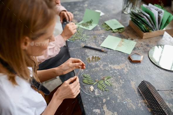 Creative artist making herbarium composition sitting at desk - Stock Photo - Images