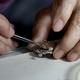 Watchmaker is repairing the mechanical watches in his workshop - PhotoDune Item for Sale