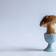 Birch bolete mushroom in blue eggcup - PhotoDune Item for Sale