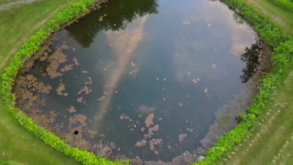 Beautiful nature landscape with a pond water between green forest alt