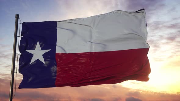 Flag of Texas Waving in the Wind Against Deep Beautiful Sky at Sunset alt