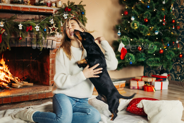 Woman playing with a dog sitting on the floor by the fireplace, on Christmas Eve - Stock Photo - Images