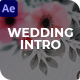 Wedding Intro - VideoHive Item for Sale