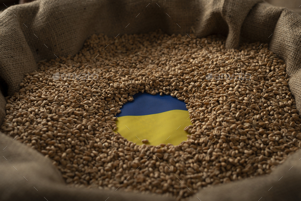 Burlap sack with wheat grains and Ukrainian flag concept - Stock Photo - Images