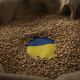 Burlap sack with wheat grains and Ukrainian flag concept - PhotoDune Item for Sale